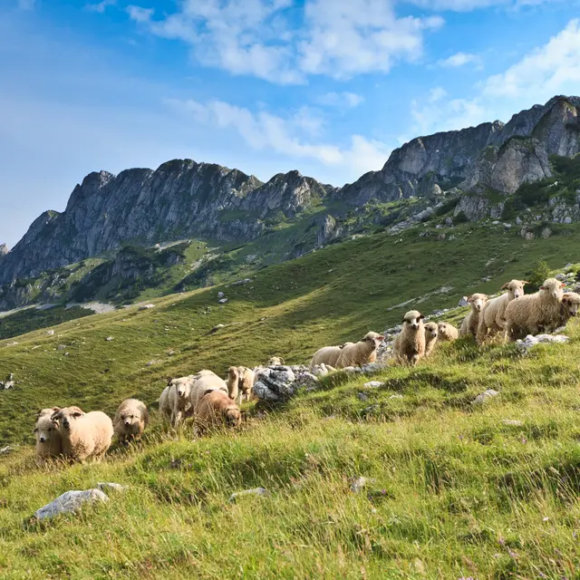 Rando Gourmande_Tende