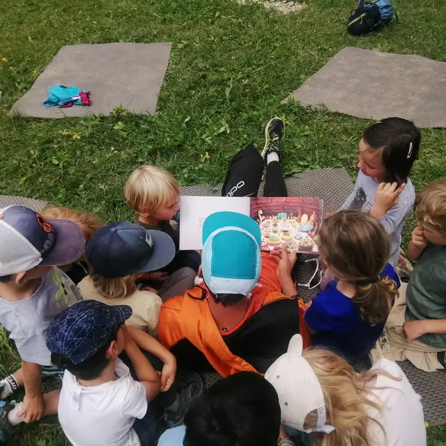 STAGE AUTOMNE_Sarcenas