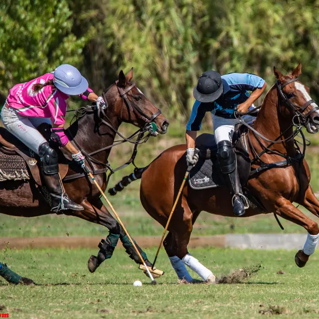 Côte d'Azur Polo Club