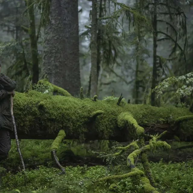 Cinéma « Le Chant des Forêts »_Les Houches