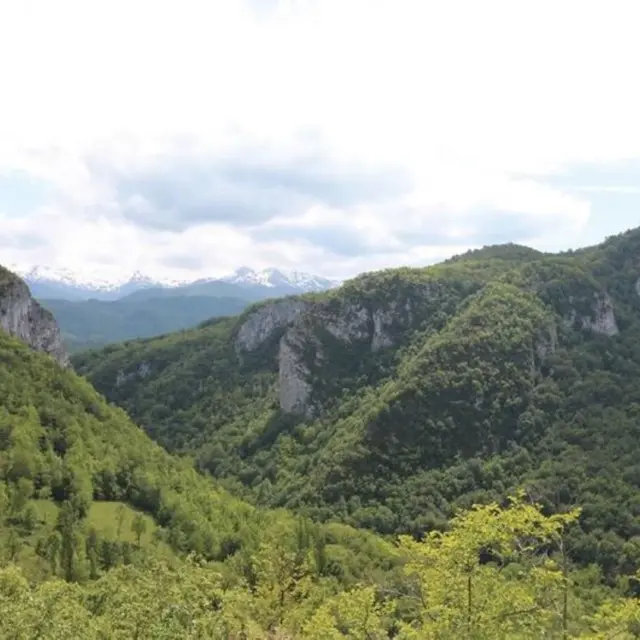 Les gorges de Péreille