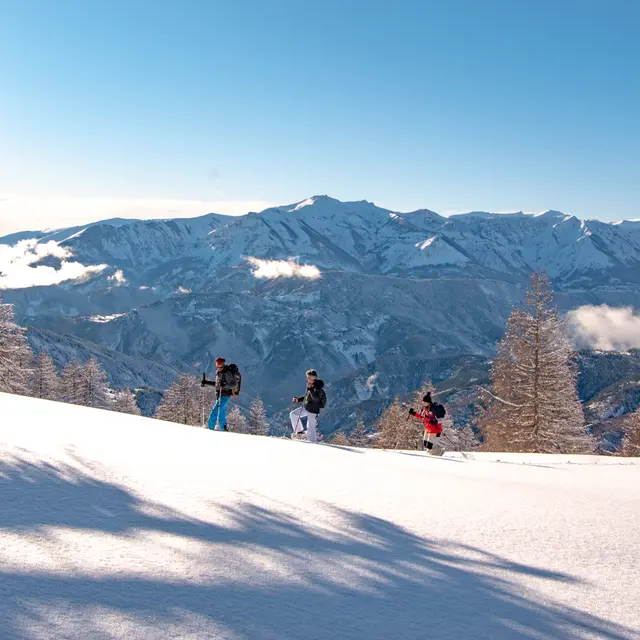 Chemin des Neiges - N° 405_Valberg