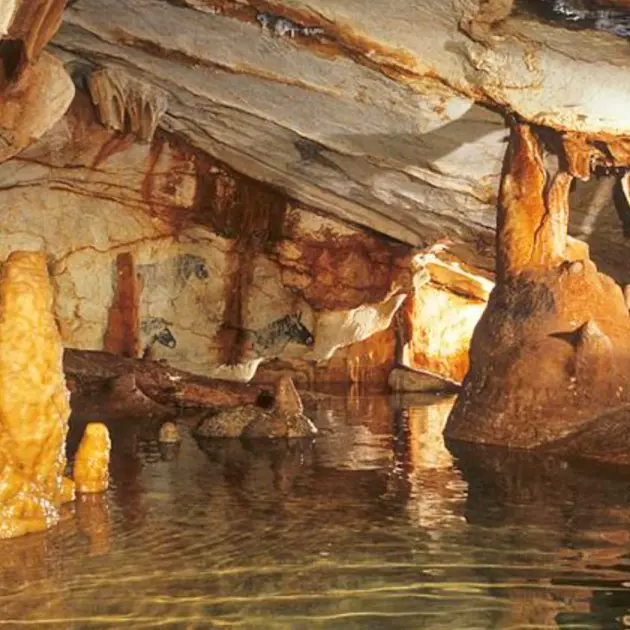 Sortie CCAS : grotte Cosquer_Bormes-les-Mimosas