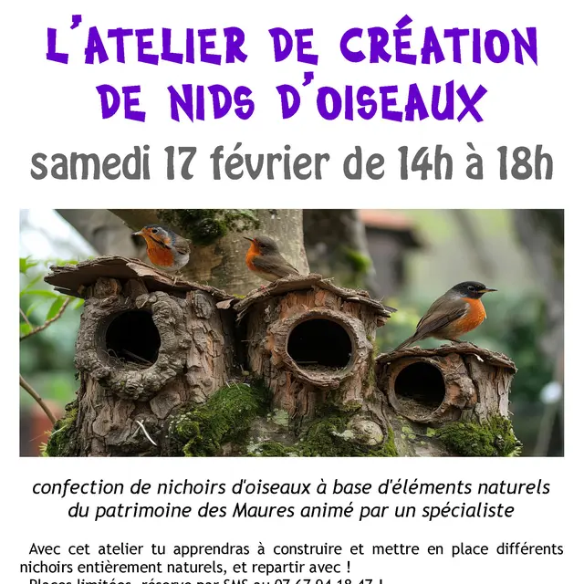 L'atelier de création de nids d'oiseaux