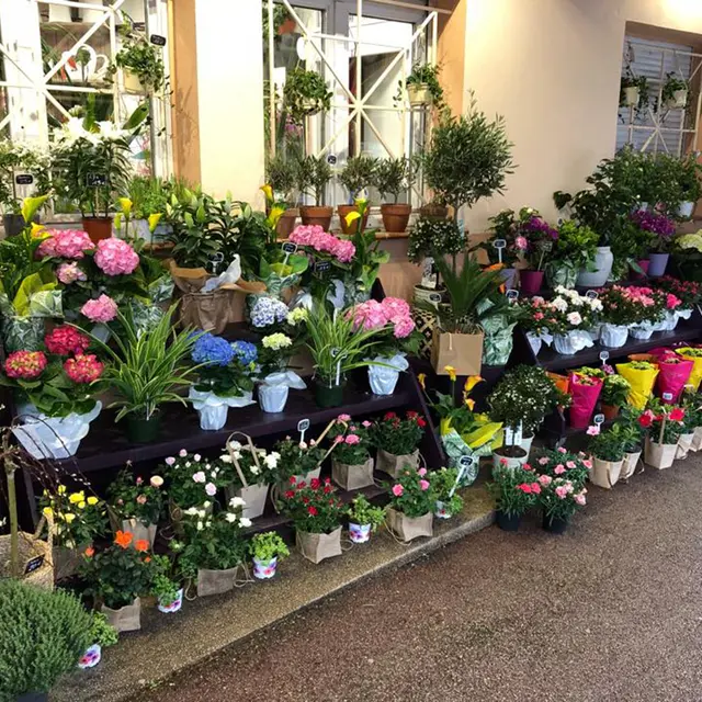 Plaisir Fleuri - Villeneuve-Loubet