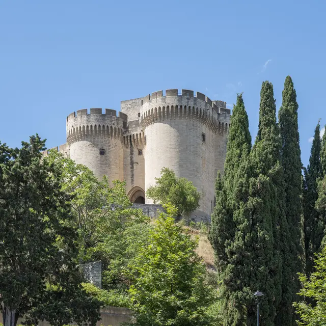 Fort Saint André