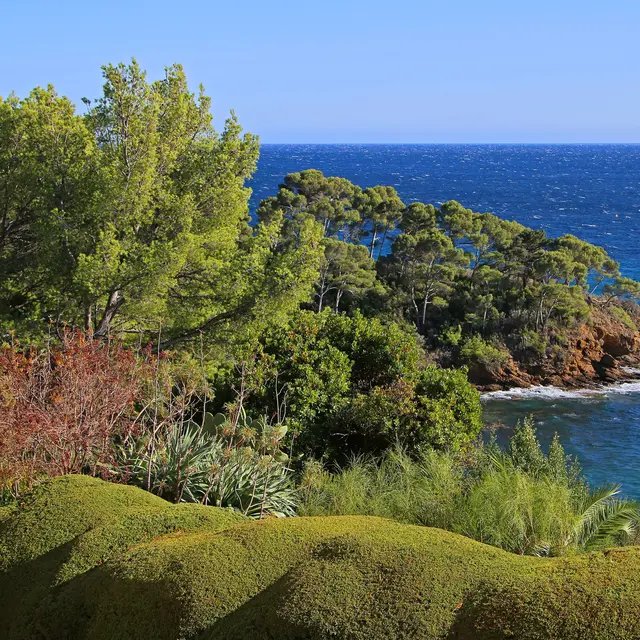 Escale en Méditerranées_Rayol-Canadel-sur-Mer