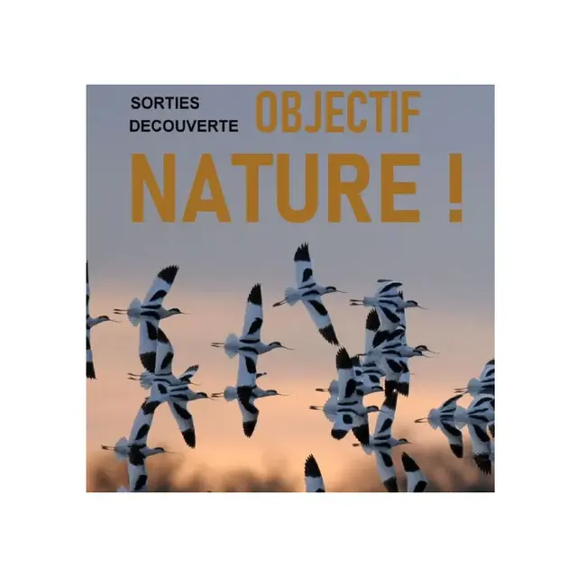 Sorties nature - Objectif Nature