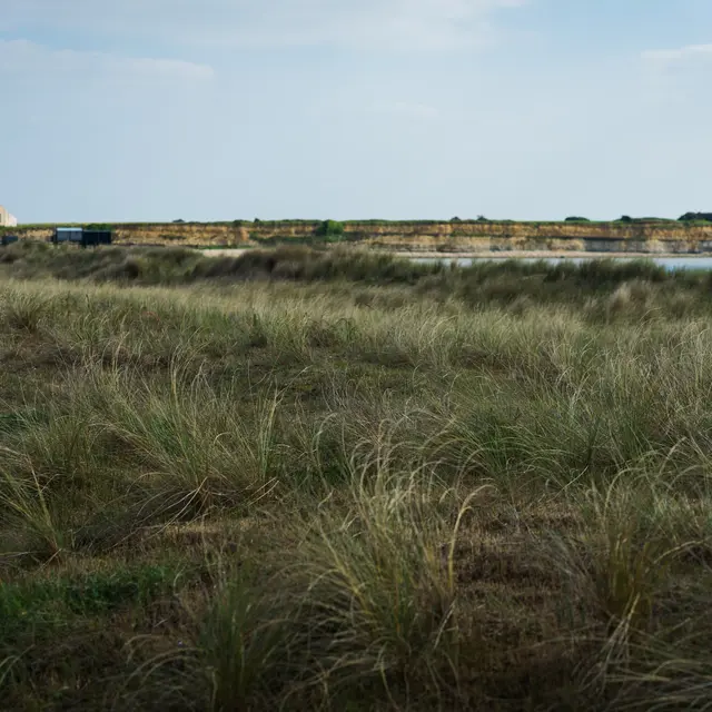 La réserve naturelle de la baie et du marais d'Yves