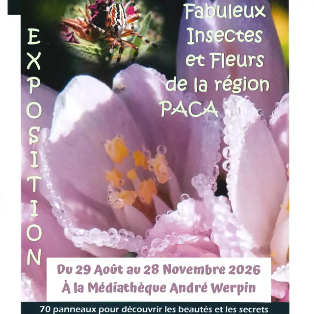 Exposition Fabuleux insectes et fleurs de la région PACA_La Garde-Freinet