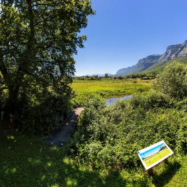 Marais de Montfort
