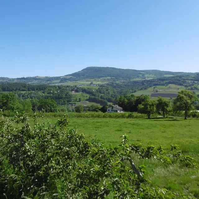 Point de vue Salève verger depsui route de chosal Cercier