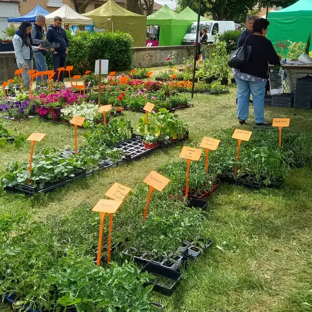 Fête des plantes Lezoux