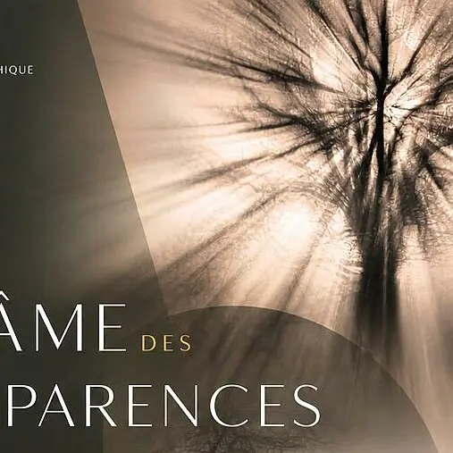 Exposition photographique : L'Âme des apparences_Saint-Raphaël