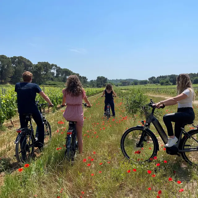 Balades en vélo électrique - Château Gigognan_Sorgues