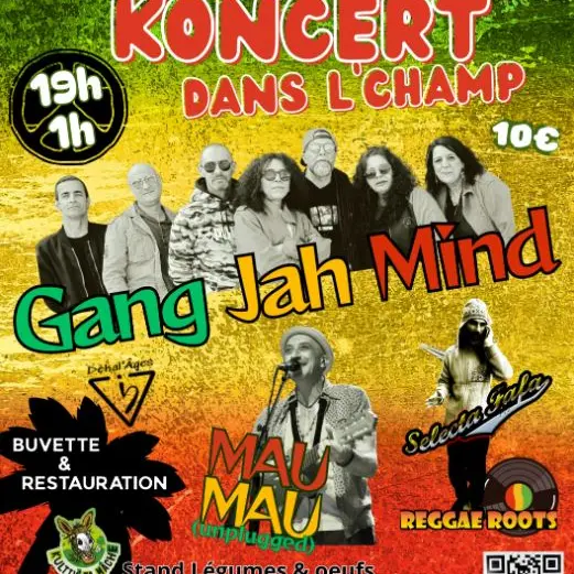 Concert : Koncert dans l'champ - formations musicales_Tavernes