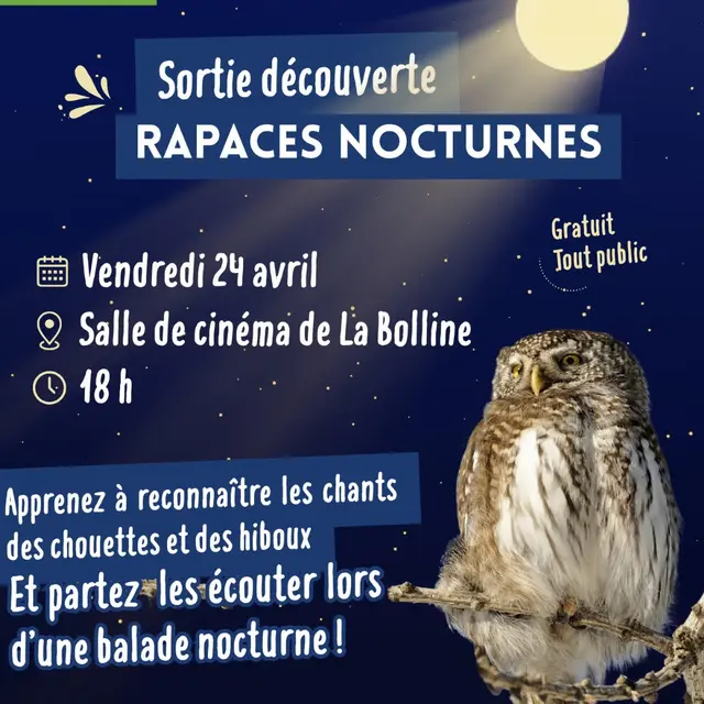Animation nuit Rapaces Nocturnes du Parc National du Mercantour_Valdeblore