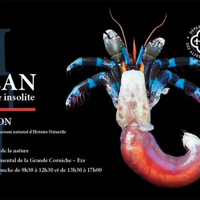 Exposition Océan. Une plongée insolite_Èze