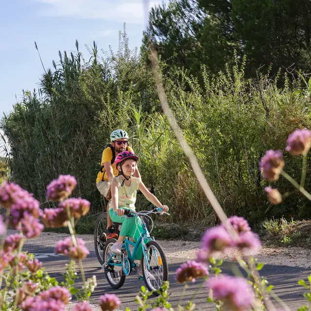 Via Venaissia à Pernes-les-Fontaines