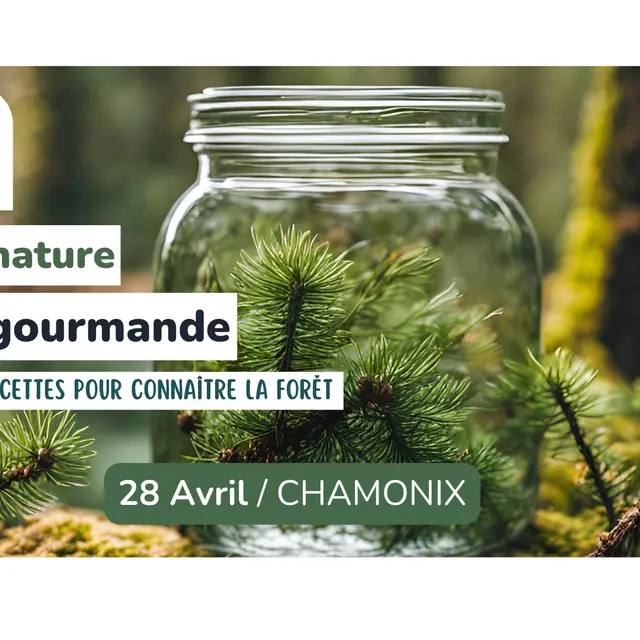 Sortie nature - Foret gourmande_Chamonix-Mont-Blanc
