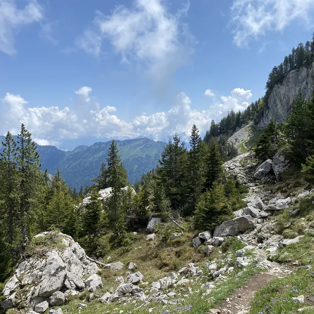 Bouchasse
