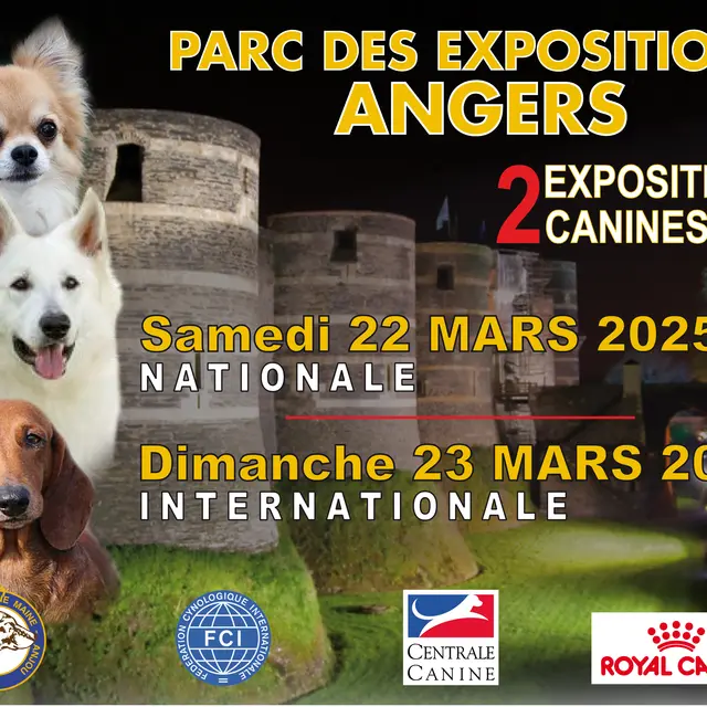 Exposition Canine Internationale_Angers