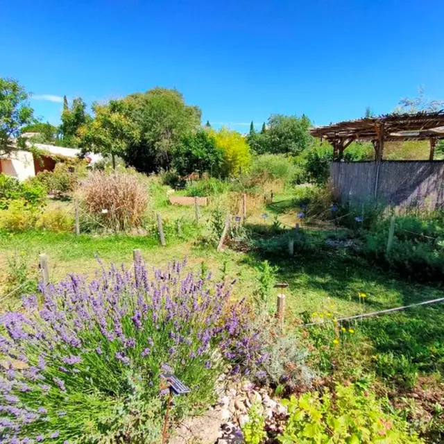 Atelier potager et plantation de fleurs grimpantes_Vaison-la-Romaine
