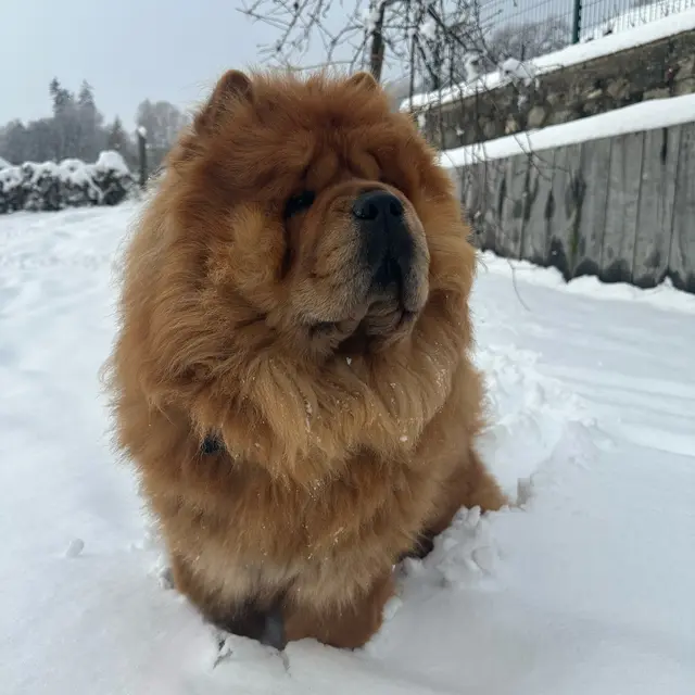 Pension des Alpes_Guillestre