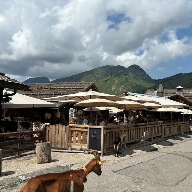 La Crémaillère_Montriond