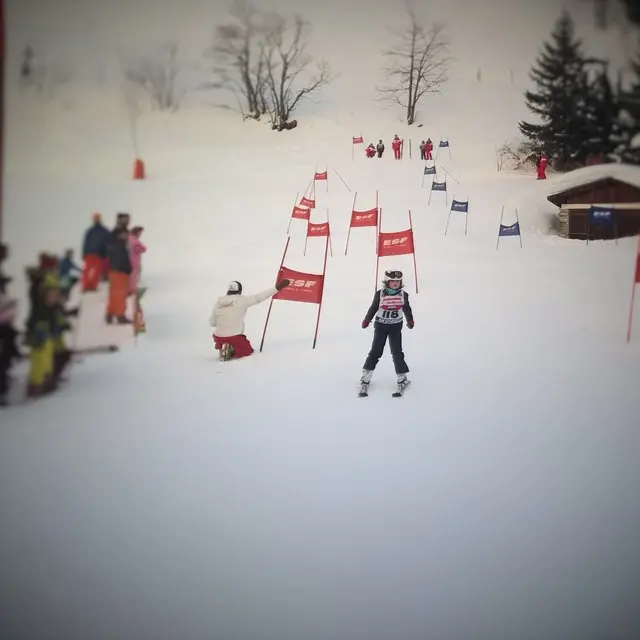 Trophée des galopins