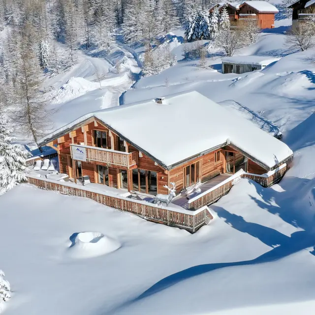 2021janv.23Neige12861.jpg