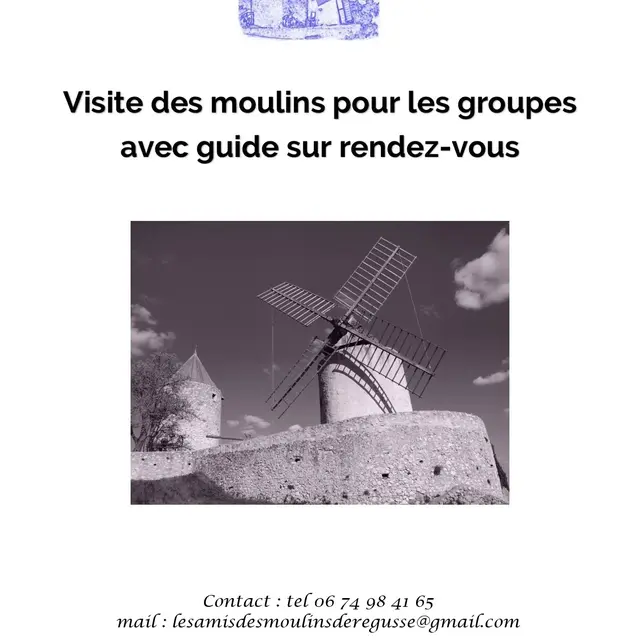 Visites commentées du Moulins pour les groupes