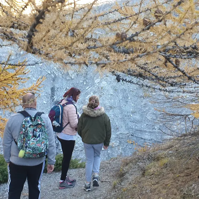 Balade sur les Traces du loup