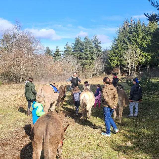 Chasse au trésor avec un âne