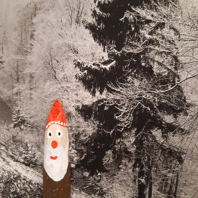 Au labo du Château : Lutins de bois_Sallanches