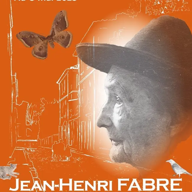 Visite commentée de l'exposition 
