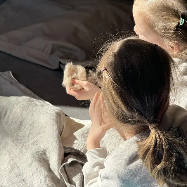 Au labo du château : Au fil du poil_Sallanches