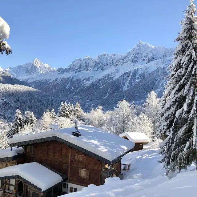 Chalet Mountain Vibes