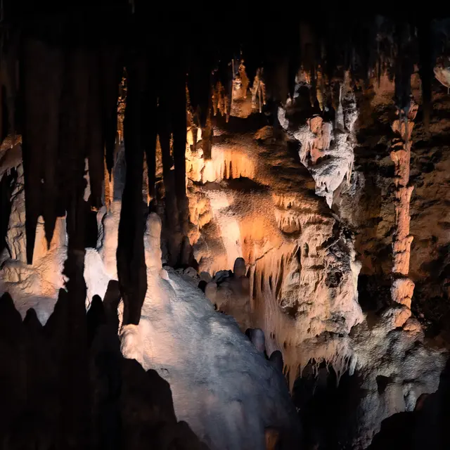 La visite fantastique_Saint-Antonin-Noble-Val