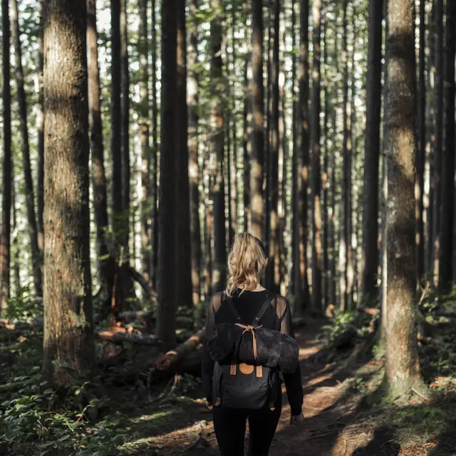Sortie énergétique en forêt_Allevard