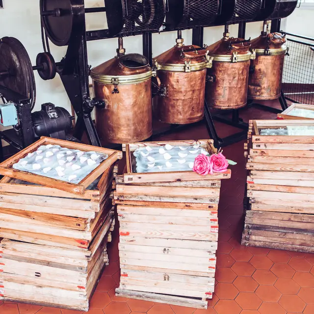 Visite guidée de la Maison de Parfums Galimard_Grasse