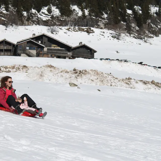 Luge