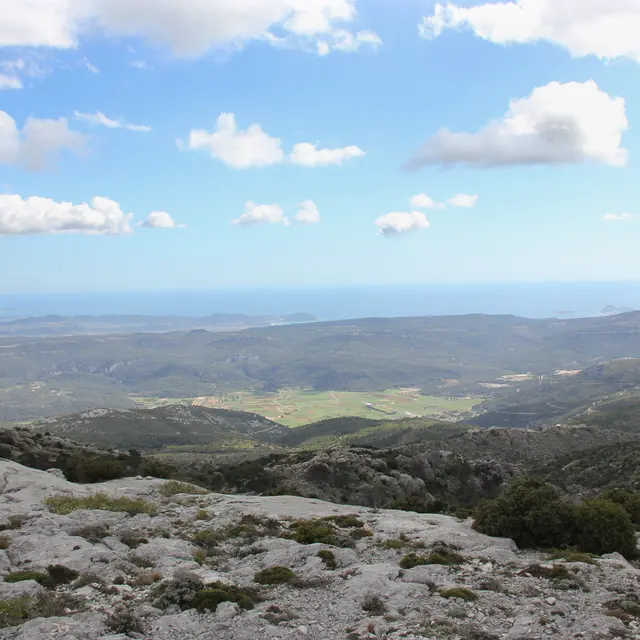 Versant sud Sainte-Baume  - Journée_Cuges-les-Pins