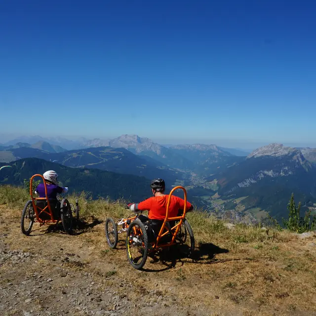Fauteuil tout terrain de descente