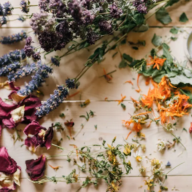 Atelier Compose ta tisane_Pélissanne