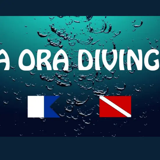 Ia Ora Diving - Tahiti Tourisme