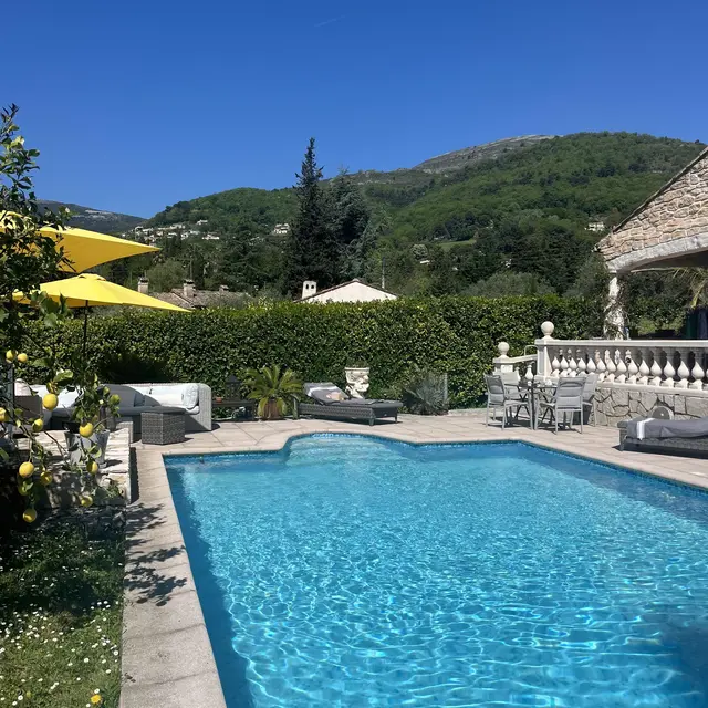 piscine citronnier.JPG