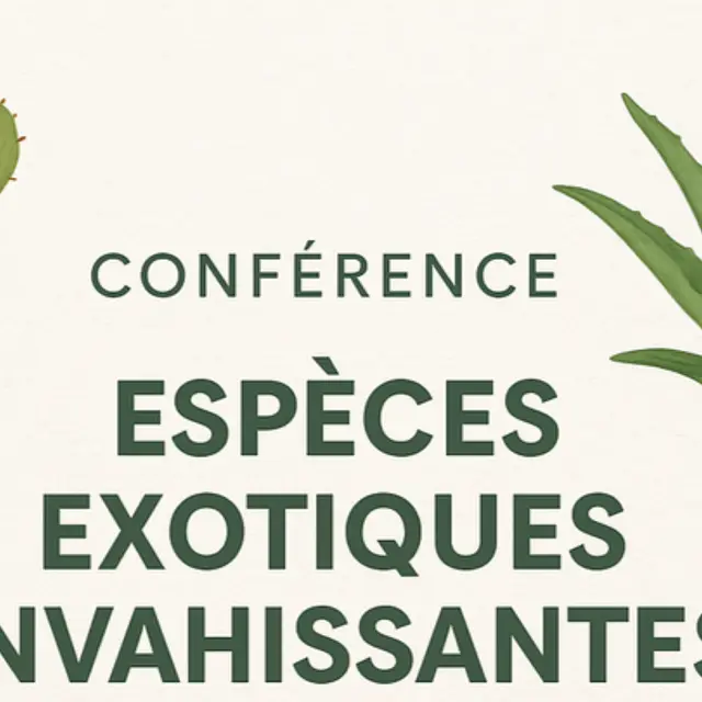 Conférence sur Porquerolles : les espèces exotiques envahissantes_Hyères