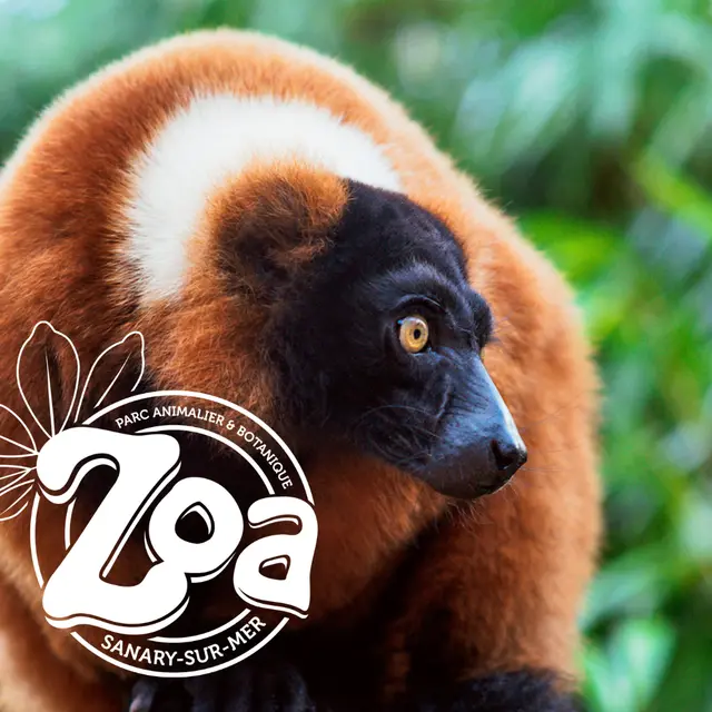 Zoa Parc animalier et botanique