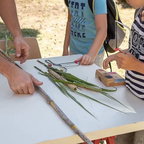 Atelier créatif : observation des petites bêtes étranges des jardins_Villeneuve-lez-Avignon